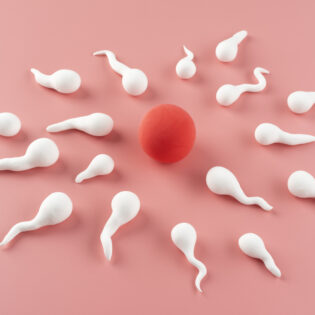IVF